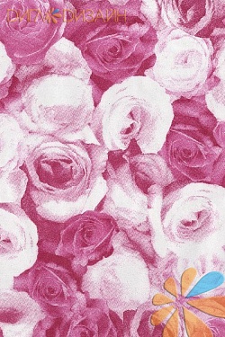 Розы розовые, фото 1