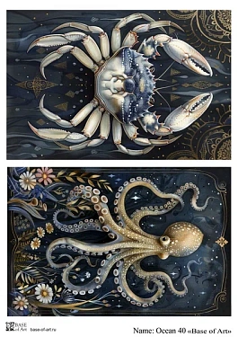 Ocean 40 A4, фото 1