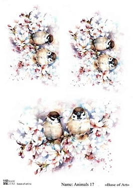 Animals 17 A4, фото 1