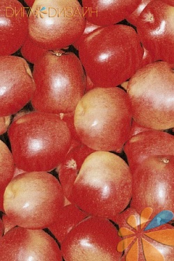 Яблоки красные, фото 1
