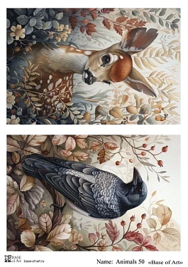 Animals 50 A4, фото 1