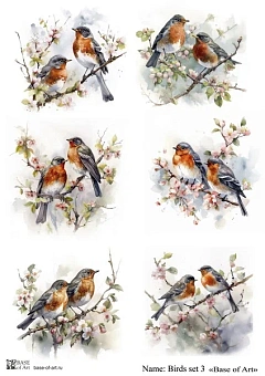 Birds set 3 А4