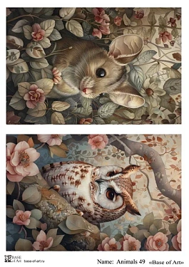 Animals 49 A4, фото 1