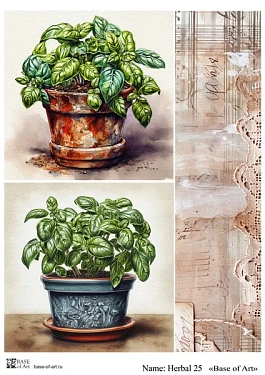 Herbal 25 , фото 1