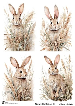 Rabbit set 14 A4