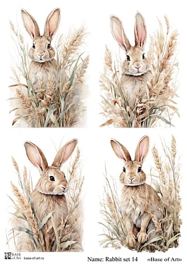 Rabbit set 14 A4, фото 1