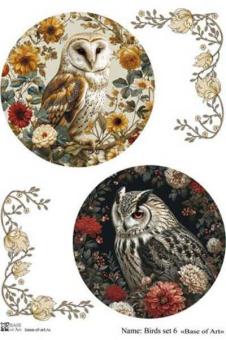 Birds set 6 