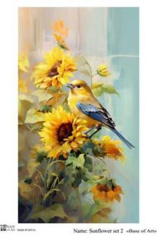 Sunflower set 2 