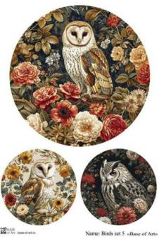 Birds set 5 