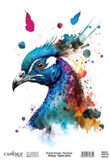 BRRP-05 30х42см BRRP-05 30х42см