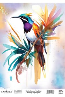 BRRP-03 30х42см BRRP-03 30х42см