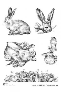 Кролики № 2, фото 1