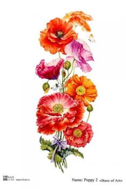 Poppy 2 , фото 1