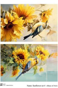 Sunflower set 4 