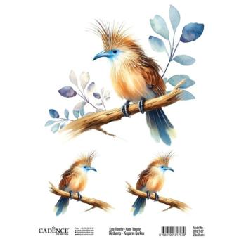 Трансфер BRET-07 25х35см